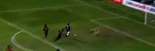Palmeiras 2 x 0 Sport
