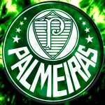 Palmeiras terá mudanças no elenco para o Brasileirão 2016